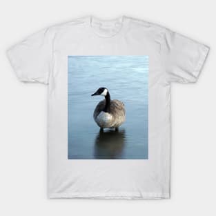 Evening Goose T-Shirt